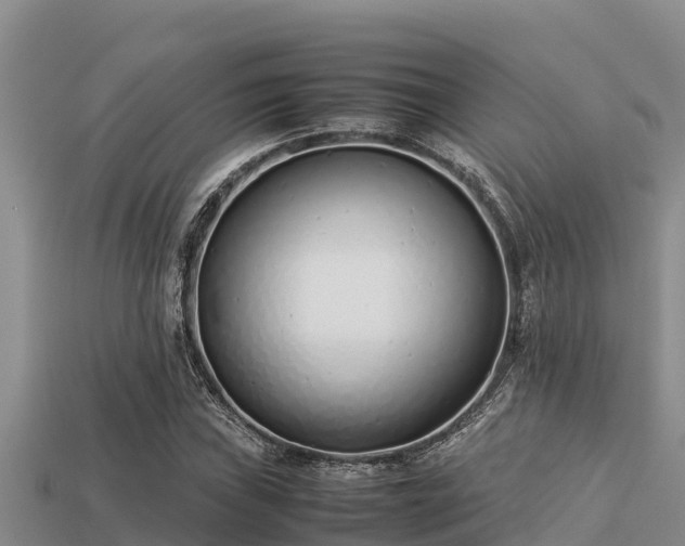 X0000113211019200909171530