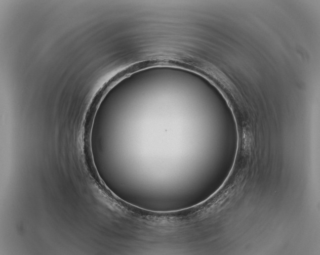 X0000113211020200909171530