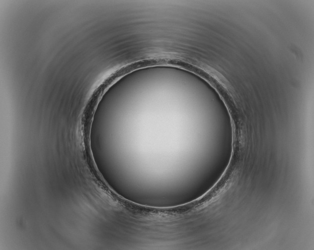 X0000113211022200909171530