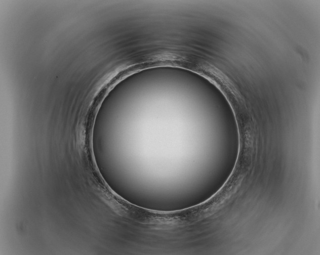 X0000113211023200909171530