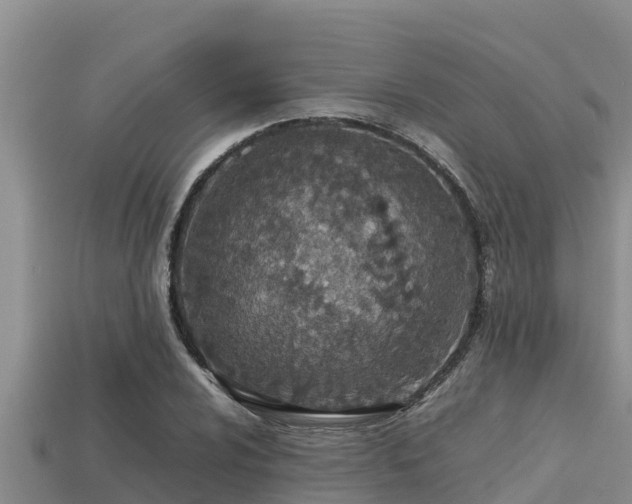 X0000113211024200909171530