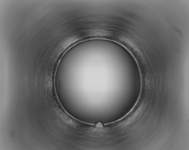 X0000113211025200909171530