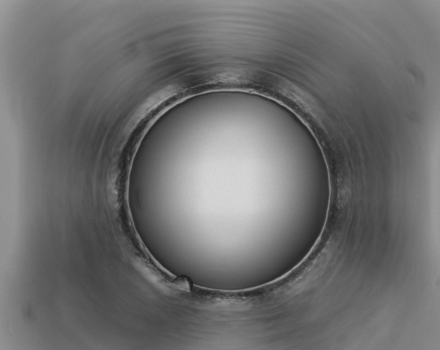 X0000113211026200909171530