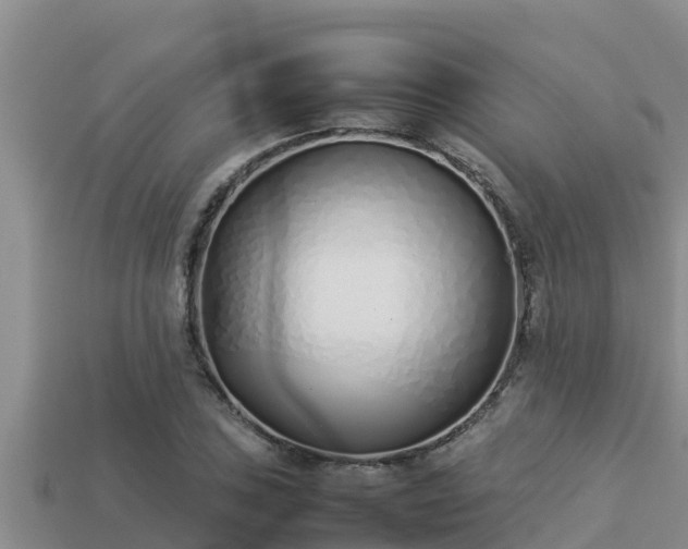 X0000113211027200909171530