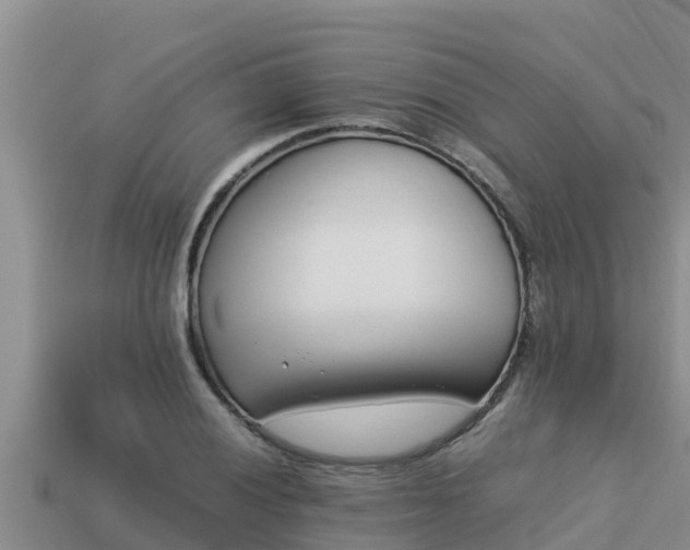 X0000113211028200909171530