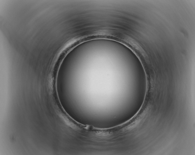 X0000113211029200909171530