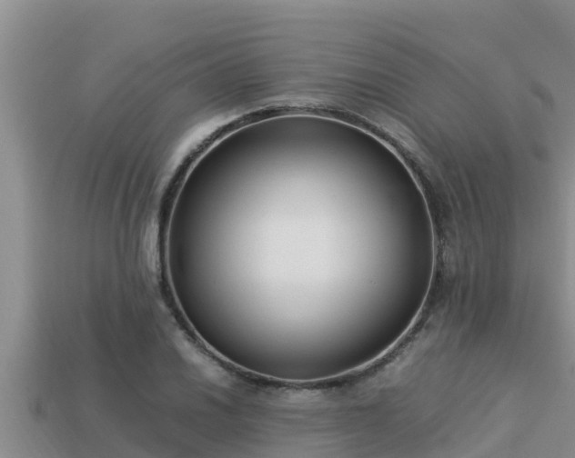 X0000113211030200909171530