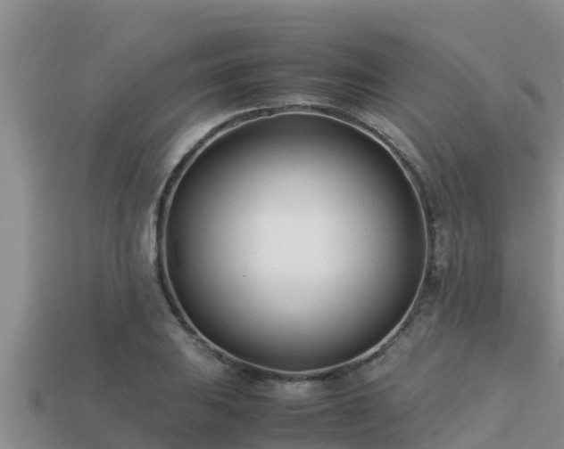 X0000113211031200909171530