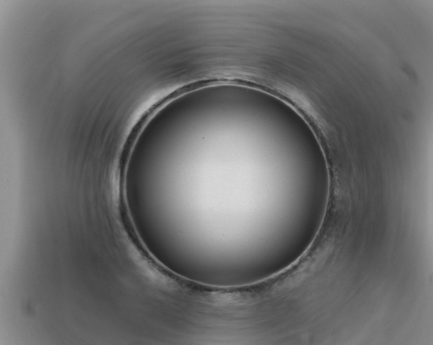 X0000113211032200909171530