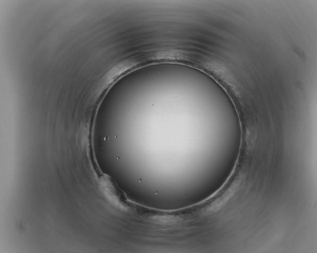 X0000113211033200909171530