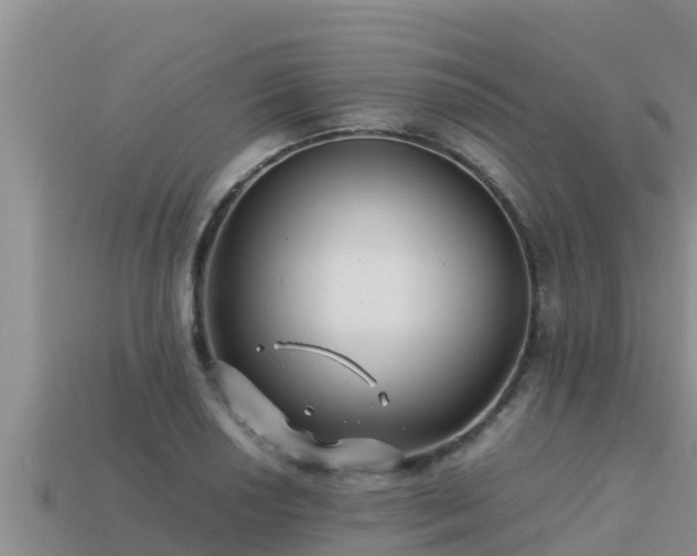 X0000113211034200909171530