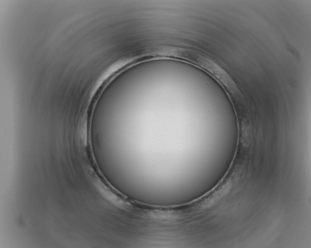 X0000113211036200909171530