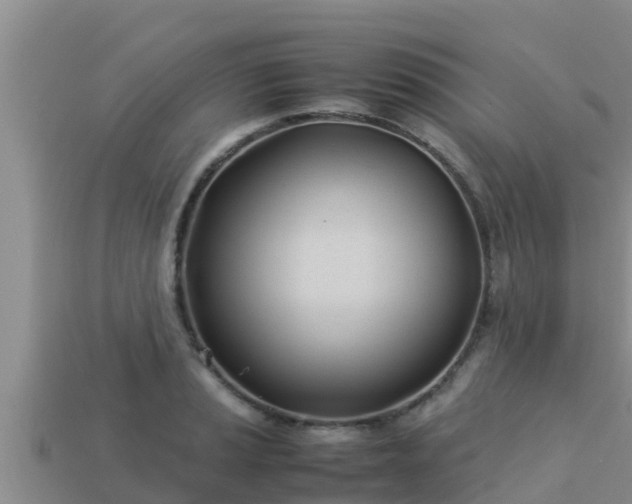 X0000113211037200909171530