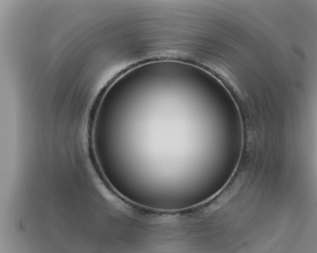 X0000113211038200909171530