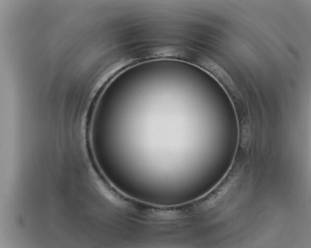 X0000113211039200909171530