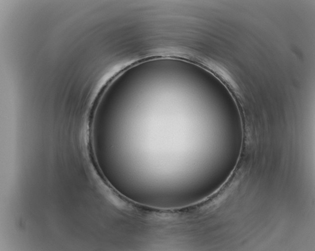 X0000113211040200909171530