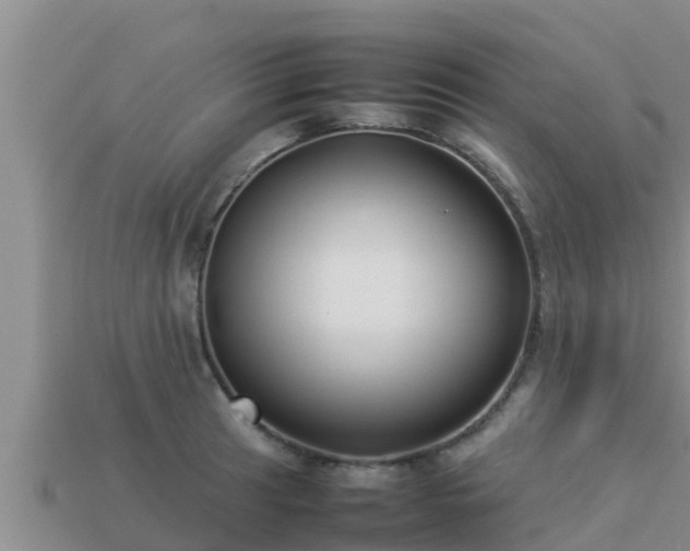 X0000113211041200909171530