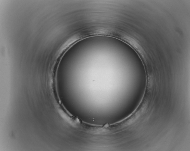 X0000113211042200909171530