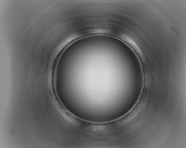 X0000113211043200909171530