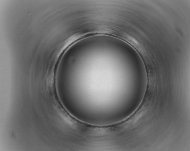 X0000113211044200909171530