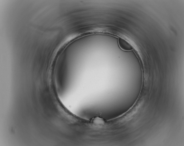 X0000113211045200909171530