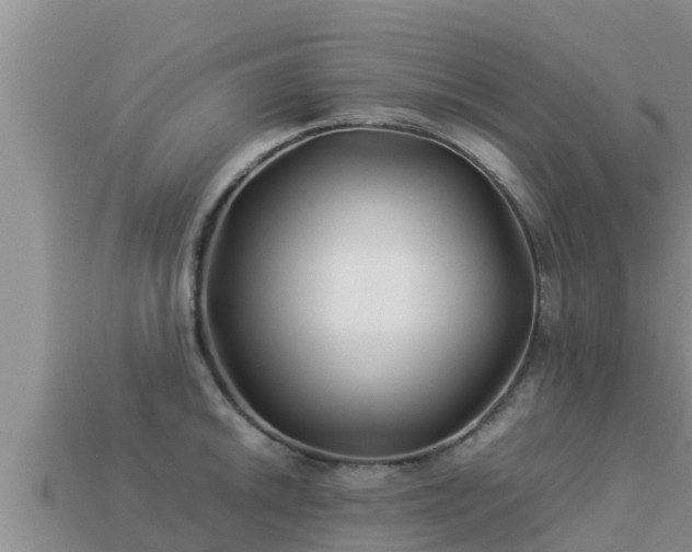 X0000113211046200909171530