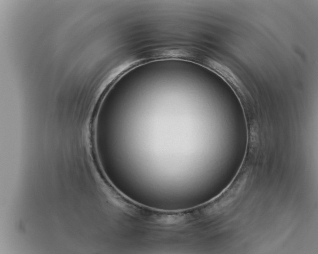 X0000113211047200909171530