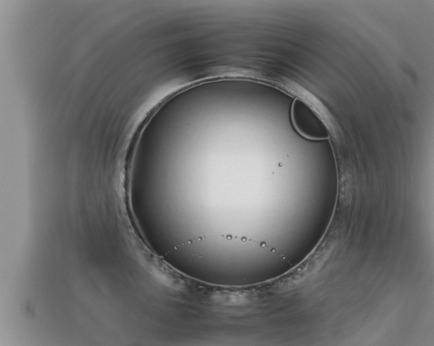 X0000113211051200909171530