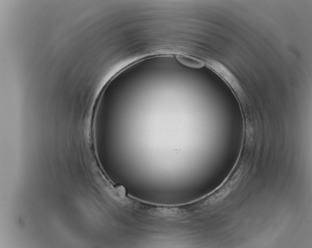 X0000113211052200909171530