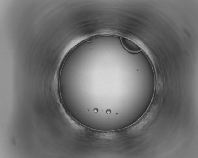 X0000113211053200909171530