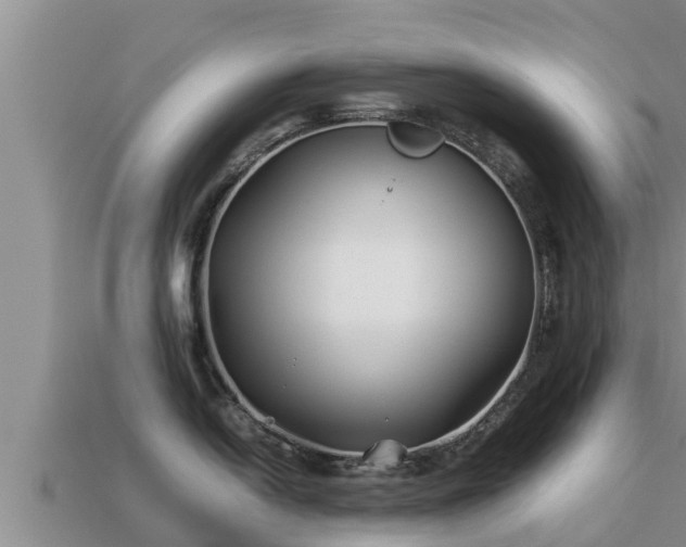 X0000113211054200909171530