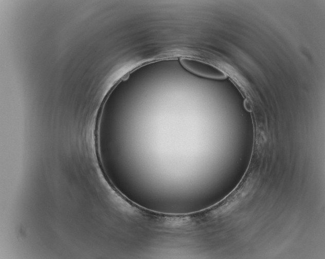 X0000113211055200909171530