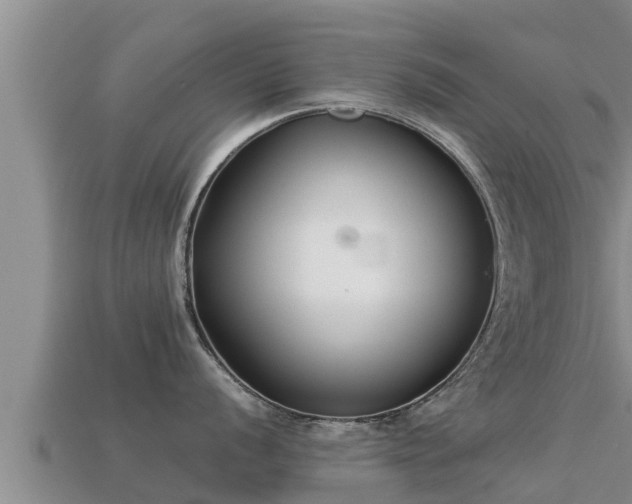 X0000113211056200909171530