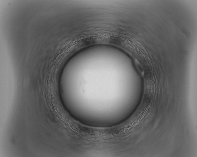 X0000113211057200909171530