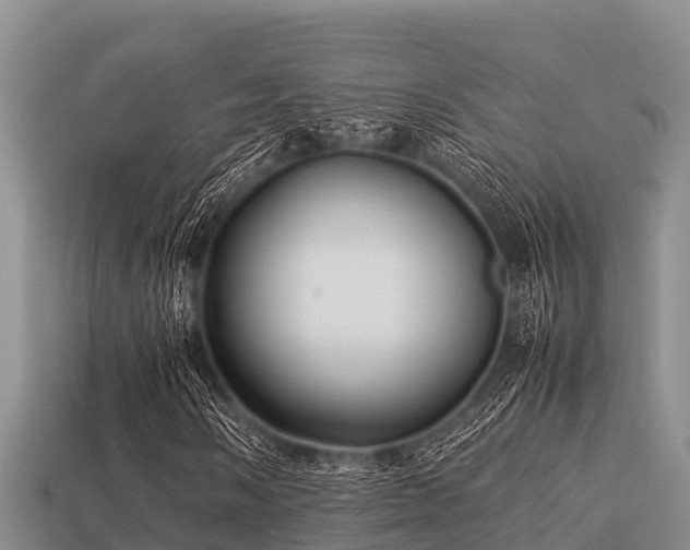 X0000113211058200909171530