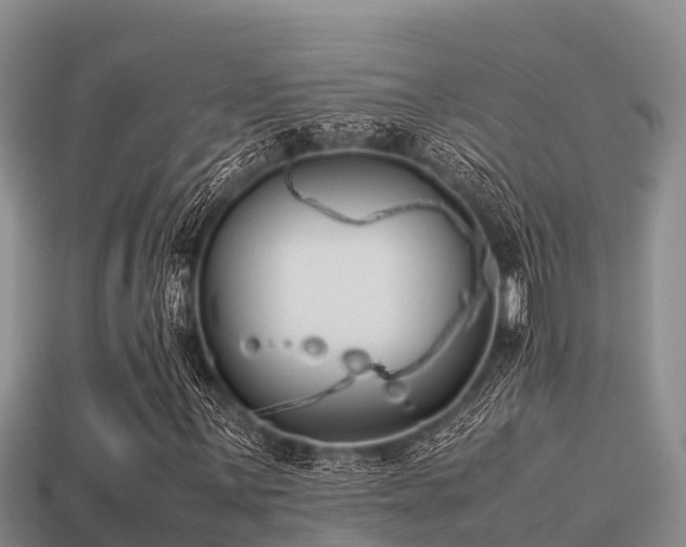 X0000113211059200909171530