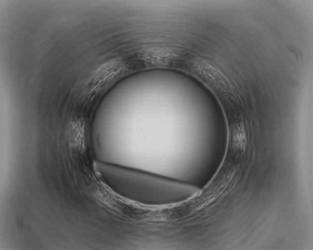 X0000113211060200909171530