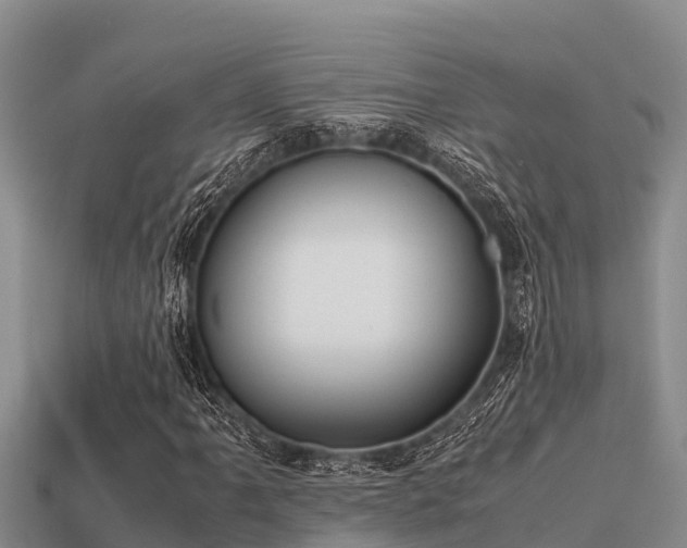 X0000113211061200909171530