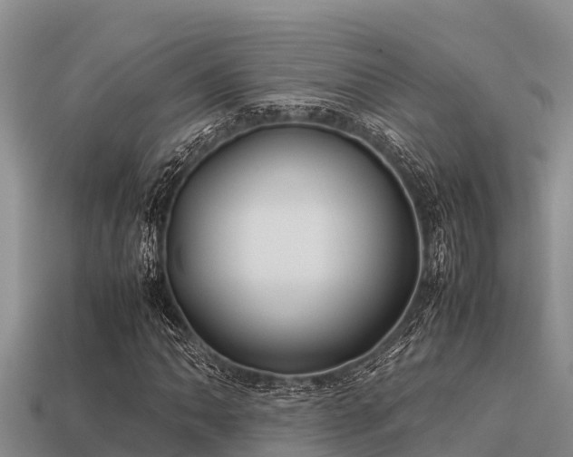 X0000113211062200909171530