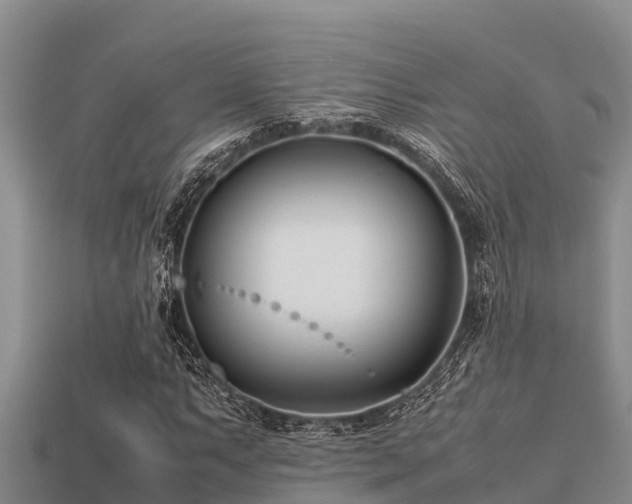 X0000113211063200909171530