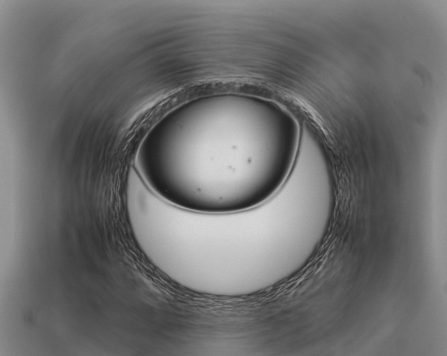 X0000113211064200909171530