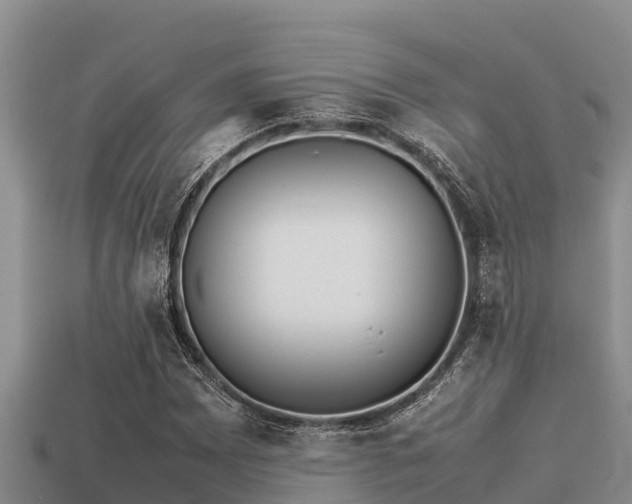 X0000113211065200909171530