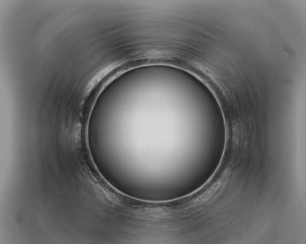 X0000113211066200909171529