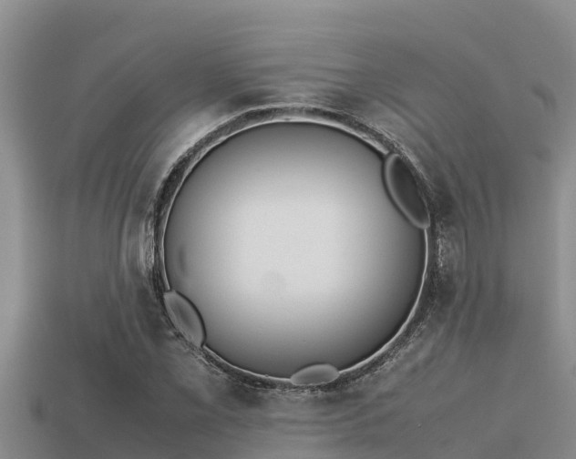 X0000113211069200909171529