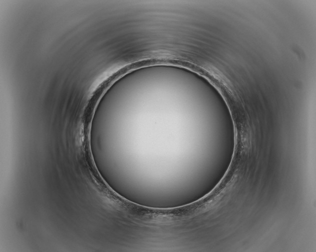 X0000113211070200909171529