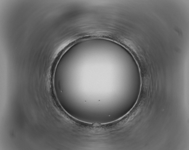 X0000113211071200909171529