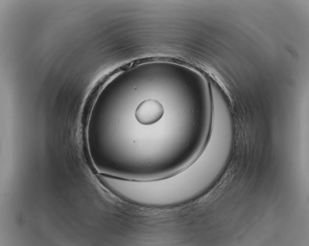 X0000113211072200909171529