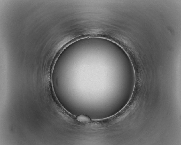 X0000113211073200909171529