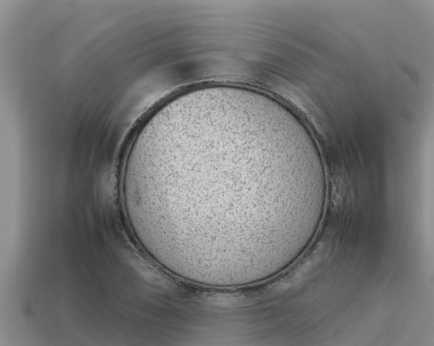 X0000113211074200909171529