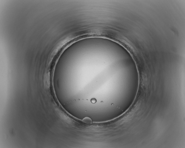 X0000113211075200909171529